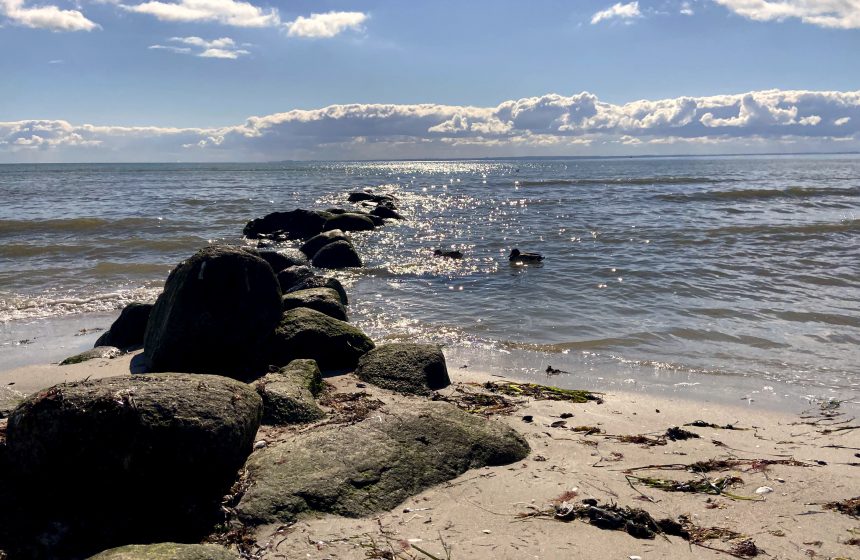 Preise nach Saisonzeiten